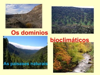 Os dominios  bioclimáticos As paisaxes naturais 