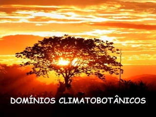 DOMÍNIOS CLIMATOBOTÂNICOS
 