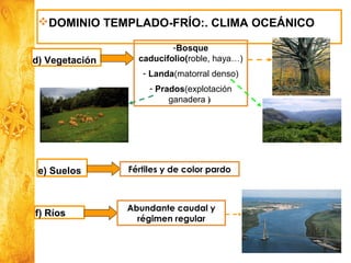 Historia y Ciencias Sociales
GeografíaDOMINIO TEMPLADO-FRÍO:. CLIMA OCEÁNICO
d) Vegetación
-Bosque
caducifolio(roble, haya…)
- Landa(matorral denso)
- Prados(explotación
ganadera )
e) Suelos Fértiles y de color pardo
f) Ríos
Abundante caudal y
régimen regular
 