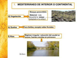 Historia y Ciencias Sociales
Geografía
1. MEDITERRÁNEO DE INTERIOR O CONTINENTAL
d) Vegetación
• Bosque perennifolio
• Matorral: más
frecuente la estepa
(adaptada a la aridez)
e) Suelos Poco fértiles, excepto valles fluviales
f) Ríos
Régimen irregular: reducción del caudal en
verano; fuertes crecidas en primavera
Río Duero
 
