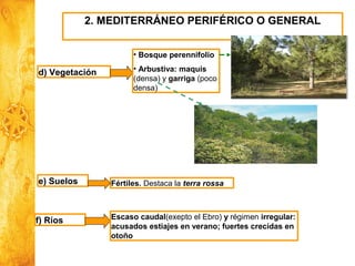 Historia y Ciencias Sociales
Geografía
2. MEDITERRÁNEO PERIFÉRICO O GENERAL
d) Vegetación
• Bosque perennifolio
• Arbustiva: maquis
(densa) y garriga (poco
densa)
e) Suelos Fértiles. Destaca la terra rossa
f) Ríos Escaso caudal(exepto el Ebro) y régimen irregular:
acusados estiajes en verano; fuertes crecidas en
otoño
 