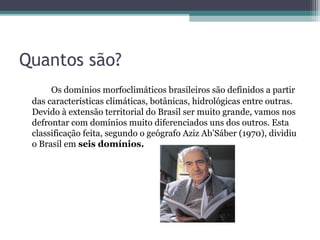 Quantos são?
      Os domínios morfoclimáticos brasileiros são definidos a partir
 das características climáticas, botânicas, hidrológicas entre outras.
 Devido à extensão territorial do Brasil ser muito grande, vamos nos
 defrontar com domínios muito diferenciados uns dos outros. Esta
 classificação feita, segundo o geógrafo Aziz Ab’Sáber (1970), dividiu
 o Brasil em seis domínios.
 