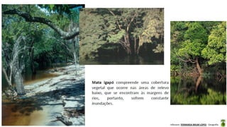 Aula elaborada pela Professora FERNANDA BRUM LOPES - Geografia
 