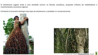 Aula elaborada pela Professora FERNANDA BRUM LOPES - Geografia
O extrativismo vegetal ainda é uma atividade comum na floresta amazônica, ocupando milhares de trabalhadores e
movimentando a economia regional.
Entretanto é necessário distinguir dois tipos de extrativismo: o predador e o conservacionista.
 