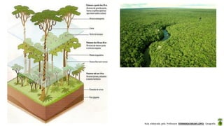Aula elaborada pela Professora FERNANDA BRUM LOPES - Geografia
 