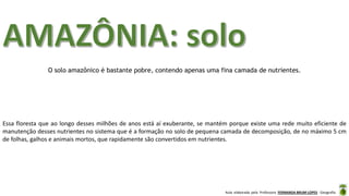 Aula elaborada pela Professora FERNANDA BRUM LOPES - Geografia
Essa floresta que ao longo desses milhões de anos está aí exuberante, se mantém porque existe uma rede muito eficiente de
manutenção desses nutrientes no sistema que é a formação no solo de pequena camada de decomposição, de no máximo 5 cm
de folhas, galhos e animais mortos, que rapidamente são convertidos em nutrientes.
O solo amazônico é bastante pobre, contendo apenas uma fina camada de nutrientes.
 