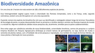 Aula elaborada pela Professora FERNANDA BRUM LOPES - Geografia
Em uma área de 1 hectare de mata existem de 100 a 300 diferentes espécies de plantas.
Essa heterogeneidade vegetal supera muito a diversidade das florestas temperadas, como a da França, onde, segundo
estimativas, existem cerca de 50 espécies em uma área equivalente.
O grande número de espécies da Amazônia faz com que sua identificação e catalogação estejam longe de terminar. Possuidores
de tecnologia de ponta, os países desenvolvidos foram os primeiros a recolher plantas e animais nas florestas tropicais do mundo
e a estudá-los. Algumas substâncias obtidas nessas pesquisas são, atualmente, vendidas para os países subdesenvolvidos.
Para evitar pagar por substâncias extraídas de nossa biodiversidade, universidades brasileiras, centros de pesquisas e a própria
Empresa Brasileira de Pesquisa Agropecuária (Embrapa) já criaram bancos de germoplasma, ou seja, bancos de mudas e
sementes de plantas nativas, com a finalidade não só de pesquisa e reprodução, mas também de criação de formas híbridas, de
novas plantas e fabricação de novos produtos.
 