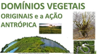 Aula elaborada pela Professora FERNANDA BRUM LOPES - GeografiaImagem retirada slide do Professor Leandro Machado de Moura: Biólogo
 