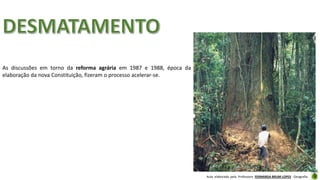 Aula elaborada pela Professora FERNANDA BRUM LOPES - Geografia
As discussões em torno da reforma agrária em 1987 e 1988, época da
elaboração da nova Constituição, fizeram o processo acelerar-se.
 