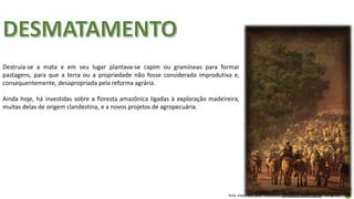 Aula elaborada pela Professora FERNANDA BRUM LOPES - Geografia
Destruía-se a mata e em seu lugar plantava-se capim ou gramíneas para formar
pastagens, para que a terra ou a propriedade não fosse considerada improdutiva e,
consequentemente, desapropriada pela reforma agrária.
Ainda hoje, há investidas sobre a floresta amazônica ligadas à exploração madeireira,
muitas delas de origem clandestina, e a novos projetos de agropecuária.
 