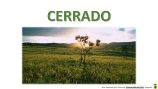 Aula elaborada pela Professora FERNANDA BRUM LOPES - Geografia
 