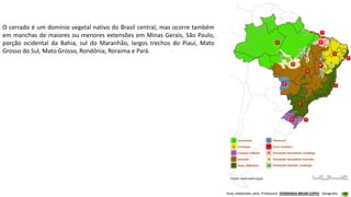 Aula elaborada pela Professora FERNANDA BRUM LOPES - Geografia
O cerrado é um domínio vegetal nativo do Brasil central, mas ocorre também
em manchas de maiores ou menores extensões em Minas Gerais, São Paulo,
porção ocidental da Bahia, sul do Maranhão, largos trechos do Piauí, Mato
Grosso do Sul, Mato Grosso, Rondônia, Roraima e Pará.
 