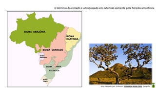 Aula elaborada pela Professora FERNANDA BRUM LOPES - Geografia
O domínio do cerrado é ultrapassado em extensão somente pela floresta amazônica.
 