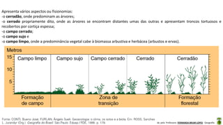 Aula elaborada pela Professora FERNANDA BRUM LOPES - Geografia
Apresenta vários aspectos ou fisionomias:
-o cerradão, onde predominam as árvores;
-o cerrado propriamente dito, onde as árvores se encontram distantes umas das outras e apresentam troncos tortuosos e
recobertos por cortiça espessa;
-o campo cerrado;
-o campo sujo e
-o campo limpo, onde a predominância vegetal cabe à biomassa arbustiva e herbácea (arbustos e ervas).
 
