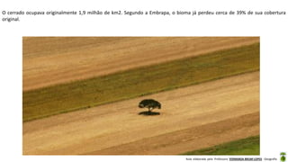 Aula elaborada pela Professora FERNANDA BRUM LOPES - Geografia
O cerrado ocupava originalmente 1,9 milhão de km2. Segundo a Embrapa, o bioma já perdeu cerca de 39% de sua cobertura
original.
 