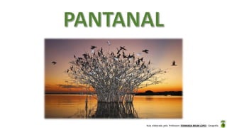 Aula elaborada pela Professora FERNANDA BRUM LOPES - Geografia
 