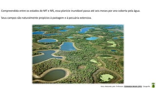 Aula elaborada pela Professora FERNANDA BRUM LOPES - Geografia
Compreendida entre os estados de MT e MS, essa planície inundável passa até seis meses por ano coberta pela água.
Seus campos são naturalmente propícios á pastagem e á pecuária extensiva.
 