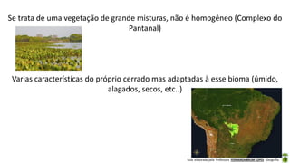 Aula elaborada pela Professora FERNANDA BRUM LOPES - Geografia
Se trata de uma vegetação de grande misturas, não é homogêneo (Complexo do
Pantanal)
Varias características do próprio cerrado mas adaptadas à esse bioma (úmido,
alagados, secos, etc..)
 