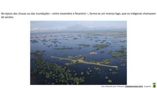 Aula elaborada pela Professora FERNANDA BRUM LOPES - Geografia
Na época das chuvas ou das inundações – entre novembro e fevereiro –, forma-se um imenso lago, que os indígenas chamavam
de xaraies.
 