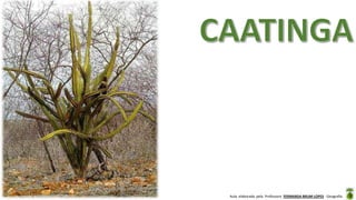 Aula elaborada pela Professora FERNANDA BRUM LOPES - Geografia
 