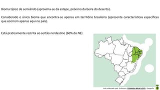 Aula elaborada pela Professora FERNANDA BRUM LOPES - Geografia
Bioma típico de semiárido (aproxima-se da estepe, próximo da beira do deserto).
Considerado o único bioma que encontra-se apenas em território brasileiro (apresenta características específicas
que ocorrem apenas aqui no país).
Está praticamente restrita ao sertão nordestino (60% do NE)
 