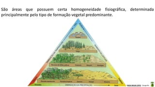 Aula elaborada pela Professora FERNANDA BRUM LOPES - Geografia
São áreas que possuem certa homogeneidade fisiográfica, determinada
principalmente pelo tipo de formação vegetal predominante.
 