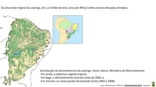 Aula elaborada pela Professora FERNANDA BRUM LOPES - Geografia
Da área total original da caatinga, de 1,1 milhão de km2, cerca de 49% já sofreu severa alteração antrópica.
Distribuição do desmatamento da caatinga. Fonte: Ibama. Ministério do Meio Ambiente.
-Em verde, a cobertura vegetal original;
-Em bege, o desmatamento ocorrido antes de 2002; e
-Em marrom, os novos pontos de desmate (entre 2002 e 2008).
 