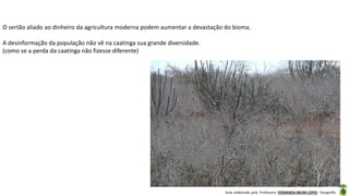 Aula elaborada pela Professora FERNANDA BRUM LOPES - Geografia
O sertão aliado ao dinheiro da agricultura moderna podem aumentar a devastação do bioma.
A desinformação da população não vê na caatinga sua grande diversidade.
(como se a perda da caatinga não fizesse diferente)
 