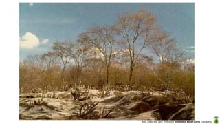 Aula elaborada pela Professora FERNANDA BRUM LOPES - Geografia
 