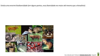 Aula elaborada pela Professora FERNANDA BRUM LOPES - Geografia
Existia uma enorme biodiversidade (em alguns pontos, essa diversidade era maior até mesmo que a Amazônia)
 