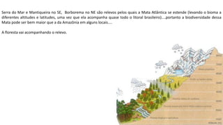 Aula elaborada pela Professora FERNANDA BRUM LOPES - Geografia
Serra do Mar e Mantiqueira no SE, Borborema no NE são relevos pelos quais a Mata Atlântica se estende (levando o bioma a
diferentes altitudes e latitudes, uma vez que ela acompanha quase todo o litoral brasileiro)....portanto a biodiversidade dessa
Mata pode ser bem maior que a da Amazônia em alguns locais....
A floresta vai acompanhando o relevo.
 