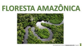 Aula elaborada pela Professora FERNANDA BRUM LOPES - Geografia
 