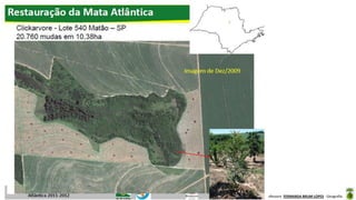 Aula elaborada pela Professora FERNANDA BRUM LOPES - Geografia
 