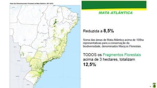 Aula elaborada pela Professora FERNANDA BRUM LOPES - Geografia
 