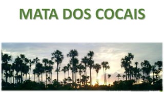 Aula elaborada pela Professora FERNANDA BRUM LOPES - Geografia
 