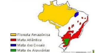Aula elaborada pela Professora FERNANDA BRUM LOPES - Geografia
 