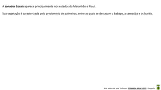 Aula elaborada pela Professora FERNANDA BRUM LOPES - Geografia
A zonados Cocais aparece principalmente nos estados do Maranhão e Piauí.
Sua vegetação é caracterizada pelo predomínio de palmeiras, entre as quais se destacam o babaçu, a carnaúba e os buritis.
 