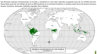 Aula elaborada pela Professora FERNANDA BRUM LOPES - Geografia
Das florestas tropicais remanescentes no mundo, a amazônica é a de maior extensão, ocupando cerca de 5,5 milhões de km2.
Desse total, perto de 3,3 milhões de km2 ou 60% localizam-se no território brasileiro; o restante cobre terras da Guiana Francesa,
Guiana, Suriname, Venezuela, Colômbia, Equador, Peru e Bolívia.
 