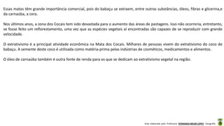 Aula elaborada pela Professora FERNANDA BRUM LOPES - Geografia
Essas matas têm grande importância comercial, pois do babaçu se extraem, entre outras substâncias, óleos, fibras e glicerina,e
da carnaúba, a cera.
Nos últimos anos, a zona dos Cocais tem sido devastada para o aumento das áreas de pastagens. Isso não ocorreria, entretanto,
se fosse feito um reflorestamento, uma vez que as espécies vegetais aí encontradas são capazes de se reproduzir com grande
velocidade.
O extrativismo é a principal atividade econômica na Mata dos Cocais. Milhares de pessoas vivem do extrativismo do coco de
babaçu. A semente deste coco é utilizada como matéria-prima pelas indústrias de cosméticos, medicamentos e alimentos.
O óleo de carnaúba também é outra fonte de renda para os que se dedicam ao extrativismo vegetal na região.
 