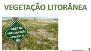Aula elaborada pela Professora FERNANDA BRUM LOPES - Geografia
 