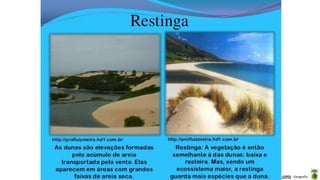 Aula elaborada pela Professora FERNANDA BRUM LOPES - Geografia
 