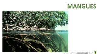 Aula elaborada pela Professora FERNANDA BRUM LOPES - Geografia
 