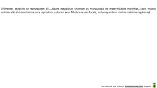 Aula elaborada pela Professora FERNANDA BRUM LOPES - Geografia
Diferentes espécies se reproduzem ali....alguns estudiosos chamam os manguezais de maternidades marinhas...(pois muitos
animais vão até esse bioma para reproduzir, colocam seus filhotes nesses locais,, os lamaçais tem muitas matérias orgânicas)
 