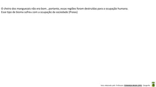 Aula elaborada pela Professora FERNANDA BRUM LOPES - Geografia
O cheiro dos manguezais não era bom...portanto, essas regiões foram destruídas para a ocupação humana.
Esse tipo de bioma sofreu com a ocupação da sociedade (Praias)
 