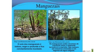 Aula elaborada pela Professora FERNANDA BRUM LOPES - Geografia
 