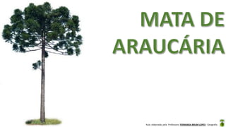 Aula elaborada pela Professora FERNANDA BRUM LOPES - Geografia
 