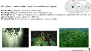 Aula elaborada pela Professora FERNANDA BRUM LOPES - Geografia
São várias as denominações dessa extensa cobertura vegetal:
-floresta latifoliada tropical, em vista de suas folhas largas;
-floresta equatorial, em decorrência do clima equatorial que a caracteriza;
-floresta pluvial, em virtude dos elevados índices pluviométricos (embora a floresta pluvial propriamente dita se localize nas
regiões onde a pluviosidade é superior aos 1.800 mm);
-floresta ombrófila, devido à presença de vegetais adaptados à elevada umidade.
 