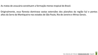 Aula elaborada pela Professora FERNANDA BRUM LOPES - Geografia
As matas de araucária constituem a formação menos tropical do Brasil.
Originalmente, essa floresta dominava vastas extensões dos planaltos da região Sul e pontos
altos da Serra da Mantiqueira nos estados de São Paulo, Rio de Janeiro e Minas Gerais.
 