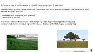 Aula elaborada pela Professora FERNANDA BRUM LOPES - Geografia
Os Pampas se trata de um bioma típico de clima frio (junto com as matas de araucárias)
Vegetação sulina com um porte diferente do país... Os pampas, é um bioma restrito ao RS (63% do RS) e apenas 2% do Brasil.
O grande destaque é a pecuária....
Campo limpo (mais homogêneo, mais gramíneo)
Campo sujo (mais arbustos)
Atualmente é até difícil identificar uma área de campo original (muita gramínea importada, para o pasto)
Grande diversidade, mas com pouca representatividade no Brasil, portanto não tem apelo para sua proteção
 