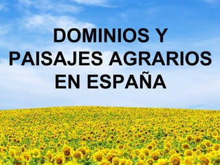 DOMINIOS Y
PAISAJES AGRARIOS
    EN ESPAÑA
 